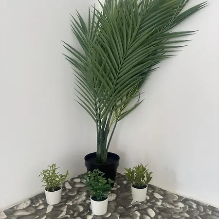 Apartmán Atico, With 2 Bedrooms *
